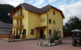 Pensiunea Narcisa