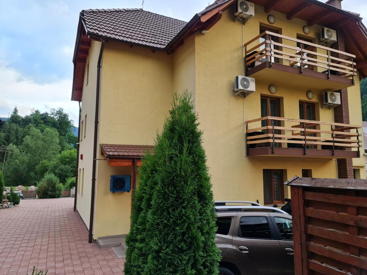 Pensiunea Narcisa Romuli Zewnętrze zdjęcie