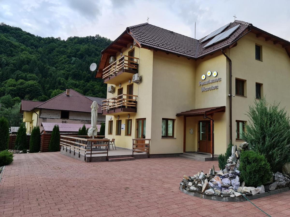 Pensiunea Narcisa Romuli Zewnętrze zdjęcie